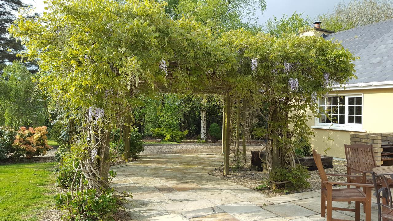 Bed and Breakfast Brookvale Wellingtonbridge Exterior foto